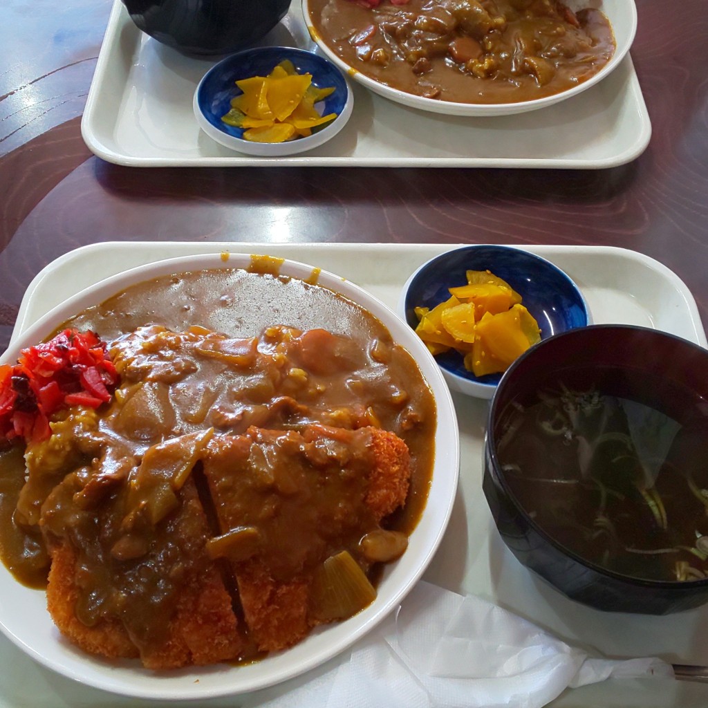 実際訪問したユーザーが直接撮影して投稿した築館伊豆丼もの丸勝食堂の写真