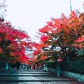 実際訪問したユーザーが直接撮影して投稿した浄土寺真如町寺真如堂の写真