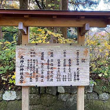 実際訪問したユーザーが直接撮影して投稿した大山寺大山寺の写真