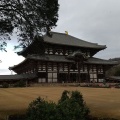 実際訪問したユーザーが直接撮影して投稿した雑司町寺東大寺 大仏殿の写真