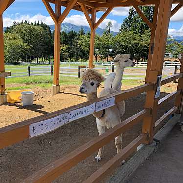 実際訪問したユーザーが直接撮影して投稿した高鷲町鷲見ハンバーガーぱっくんの写真