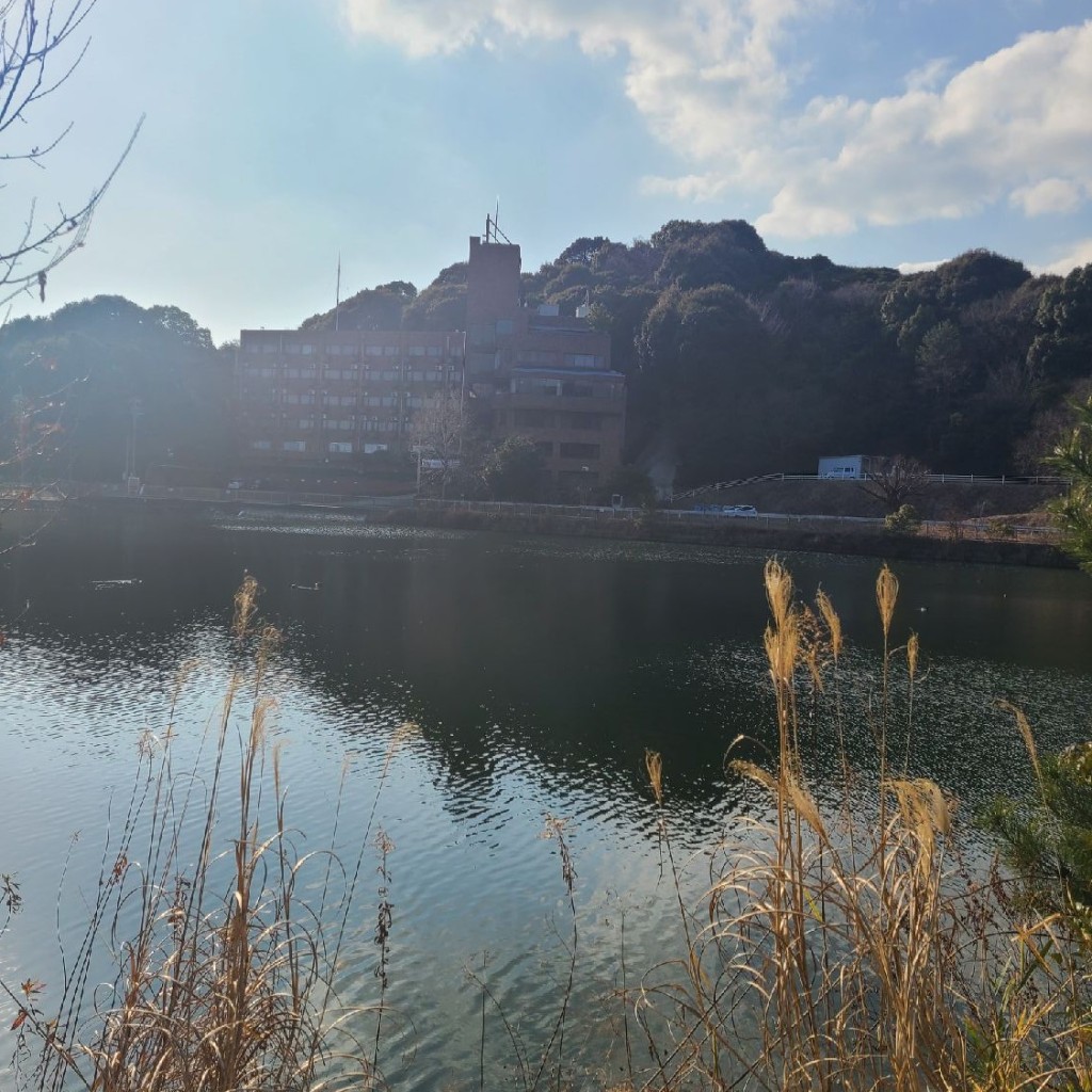 実際訪問したユーザーが直接撮影して投稿した市田町湖沼 / 池東池の写真