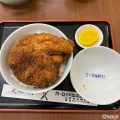 ミックス丼 - 実際訪問したユーザーが直接撮影して投稿した丸岡町一本田洋食ヨーロッパ軒 丸岡分店の写真のメニュー情報