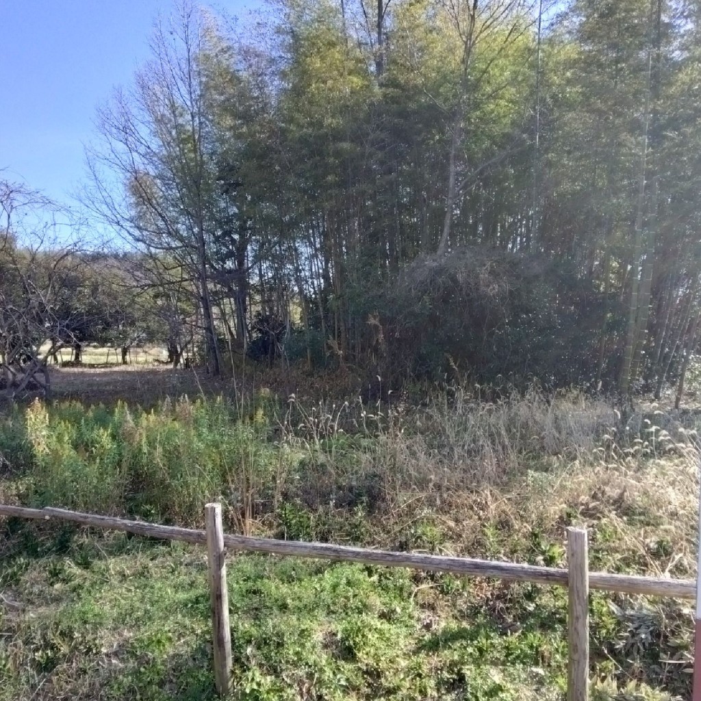 新免無二さんが投稿した玉丘町古墳のお店陪塚第2号墳の写真