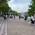 実際訪問したユーザーが直接撮影して投稿した茅ケ崎中央公園すきっぷ広場の写真