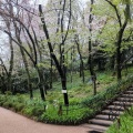 実際訪問したユーザーが直接撮影して投稿した赤塚植物園 / 樹木園板橋区立 赤塚植物園の写真