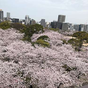 福岡城跡のundefinedに実際訪問訪問したユーザーunknownさんが新しく投稿した新着口コミの写真