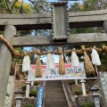 実際訪問したユーザーが直接撮影して投稿した師岡町神社師岡熊野神社の写真