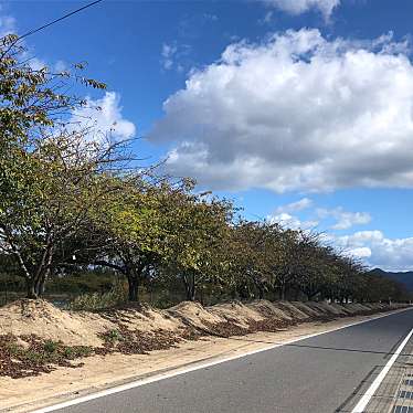 実際訪問したユーザーが直接撮影して投稿した河川阿部池の写真