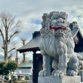 実際訪問したユーザーが直接撮影して投稿した今宮町神社今宮神社の写真