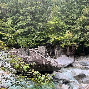 ゆーーーーーーさんが投稿した野尻滝 / 渓谷のお店阿寺渓谷/アテラケイコクの写真