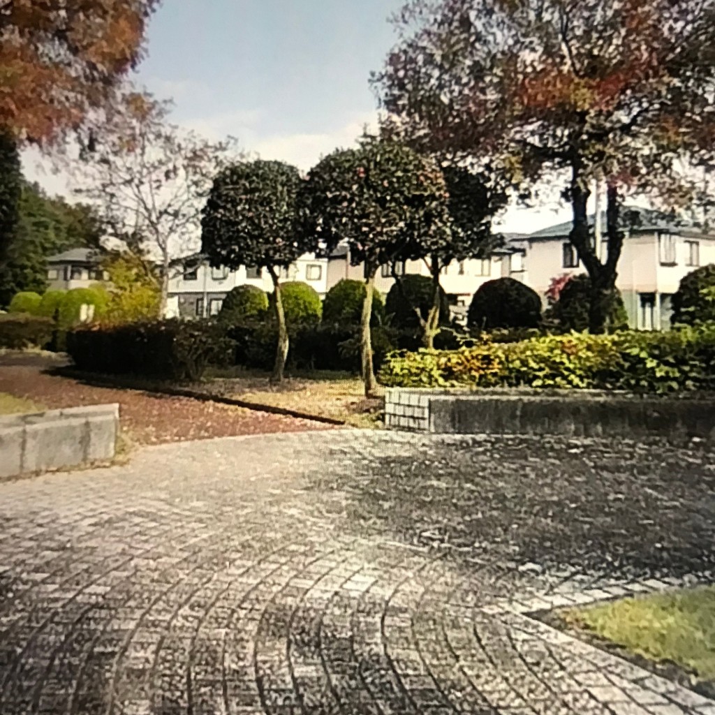 実際訪問したユーザーが直接撮影して投稿したゆうきが丘公園ゆうき公園の写真