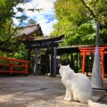 実際訪問したユーザーが直接撮影して投稿した愛宕神社愛宕神社の写真