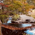 実際訪問したユーザーが直接撮影して投稿した畔吉公園上尾丸山公園の写真