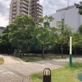 実際訪問したユーザーが直接撮影して投稿した大崎公園大崎光の滝公園の写真