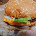 実際訪問したユーザーが直接撮影して投稿した二条大路南ハンバーガーバーガーキング ミ・ナーラ店の写真