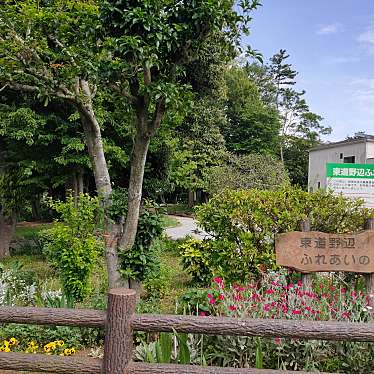 実際訪問したユーザーが直接撮影して投稿した東道野辺公園ふれあいの森の写真