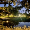 実際訪問したユーザーが直接撮影して投稿した菊名公園菊名池公園の写真