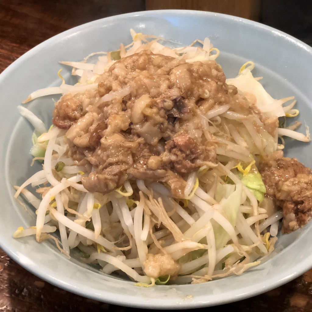 ユーザーが投稿したもやしサラダの写真 - 実際訪問したユーザーが直接撮影して投稿した錦町ラーメン / つけ麺立川マシマシの写真