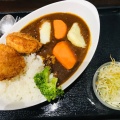 柔らかチキンカツカレー - 実際訪問したユーザーが直接撮影して投稿した小山ヶ丘定食屋旬菜亭の写真のメニュー情報