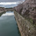 実際訪問したユーザーが直接撮影して投稿した河川南外濠の写真