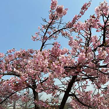 さいころジュリさんが投稿した長居公園公園のお店長居公園/ナガイコウエンの写真