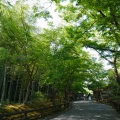 実際訪問したユーザーが直接撮影して投稿した山 / 峠嵐山の写真