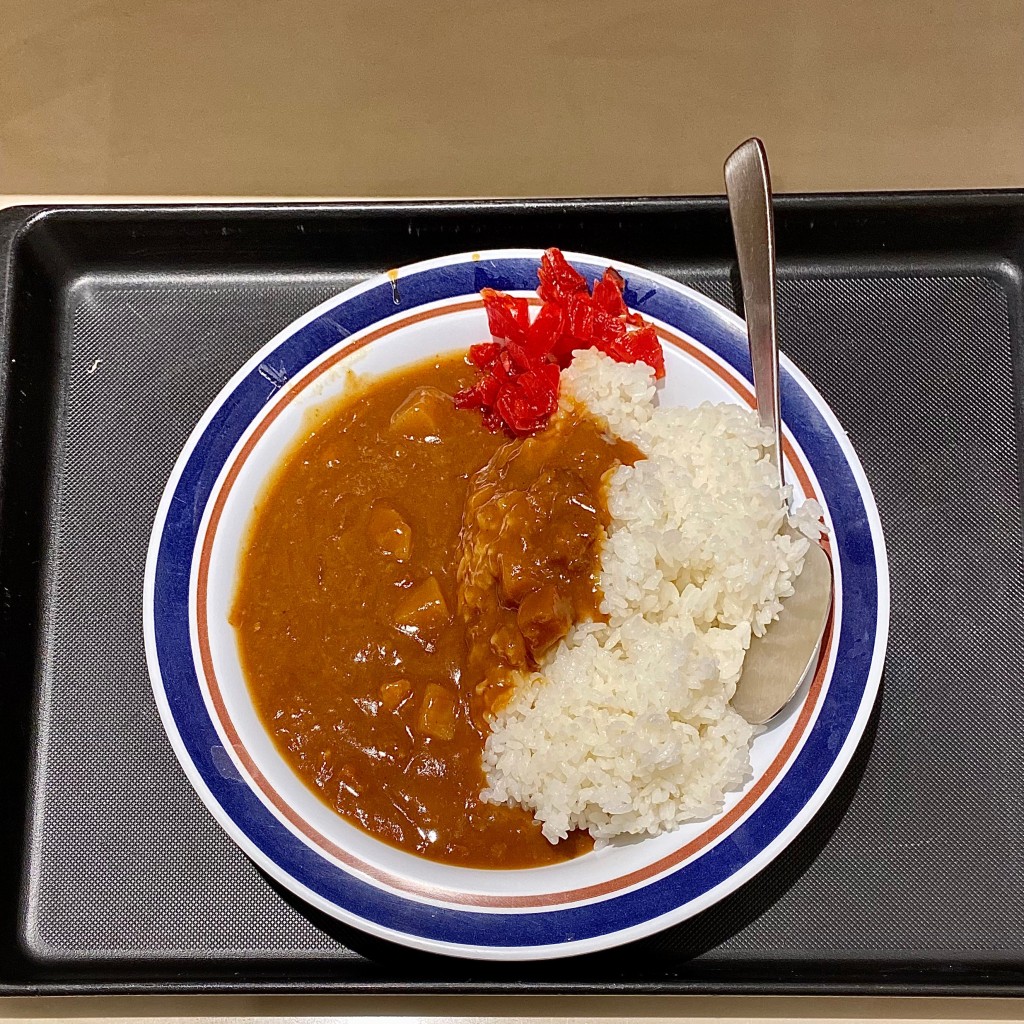 ユーザーが投稿したカレーライスの写真 - 実際訪問したユーザーが直接撮影して投稿した田端そば名代 富士そば 田端店の写真