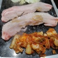 サムギョプサル - 実際訪問したユーザーが直接撮影して投稿した明輪町韓国料理テジカエン 富山駅中店の写真のメニュー情報