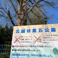 実際訪問したユーザーが直接撮影して投稿した北越谷公園北越谷第五公園の写真