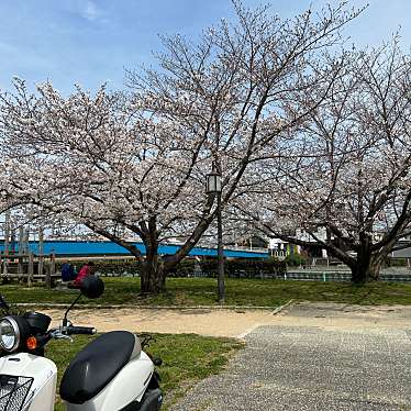 和歌川河川公園のundefinedに実際訪問訪問したユーザーunknownさんが新しく投稿した新着口コミの写真