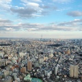 実際訪問したユーザーが直接撮影して投稿した東池袋ハワイ料理GINGER'S BEACH SUNSHINEの写真