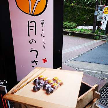 実際訪問したユーザーが直接撮影して投稿した湯本和菓子はこね和菓子 菜の花の写真