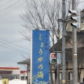 実際訪問したユーザーが直接撮影して投稿した小曽根町ラーメン / つけ麺らぁめん しょうがの海の写真