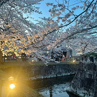 実際訪問したユーザーが直接撮影して投稿した坂戸公園銭淵公園の写真