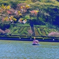 実際訪問したユーザーが直接撮影して投稿した若王子公園蓮華寺池公園の写真