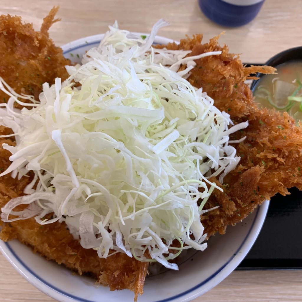 ユーザーが投稿したタレカツ丼の写真 - 実際訪問したユーザーが直接撮影して投稿した毛利町とんかつかつや 京都新堀川店の写真