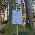 実際訪問したユーザーが直接撮影して投稿した惣社町神社大神神社の写真