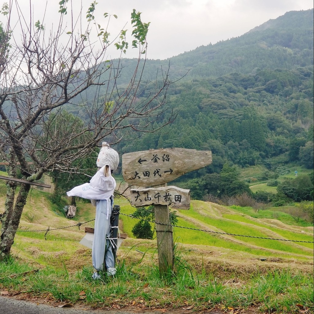 実際訪問したユーザーが直接撮影して投稿した平塚景勝地 / 百選大山千枚田の写真