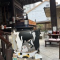 実際訪問したユーザーが直接撮影して投稿した因幡堂町寺因幡堂の写真