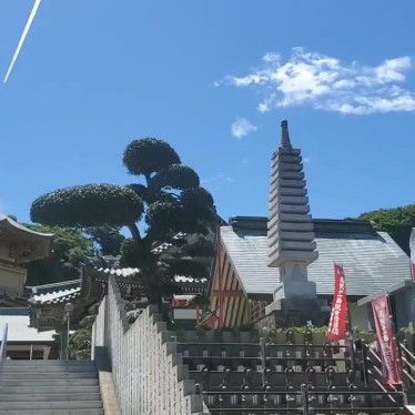 実際訪問したユーザーが直接撮影して投稿した天王台寺満願寺の写真