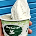 Wカップ - 実際訪問したユーザーが直接撮影して投稿した三軒茶屋アイスクリームウディックの写真のメニュー情報
