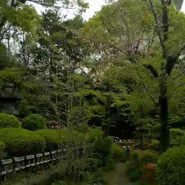 実際訪問したユーザーが直接撮影して投稿した芝公園歴史 / 遺跡徳川将軍家墓所の写真