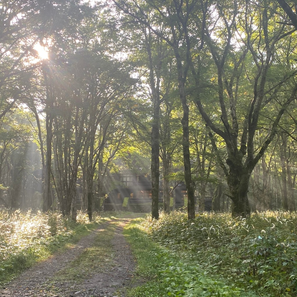 ぬぐたんさんが投稿した安曇山小屋のお店徳沢ロッヂ/トクサワロッヂの写真