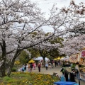 実際訪問したユーザーが直接撮影して投稿した吉之丸公園九華公園の写真