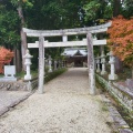 実際訪問したユーザーが直接撮影して投稿した赤目町一ノ井神社春日神社の写真
