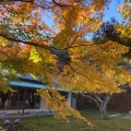 実際訪問したユーザーが直接撮影して投稿した山ノ内寺長寿寺の写真