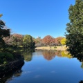 実際訪問したユーザーが直接撮影して投稿した北の丸公園公園北の丸公園の写真