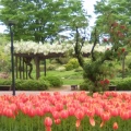 実際訪問したユーザーが直接撮影して投稿した金津植物園 / 樹木園新潟県立植物園の写真