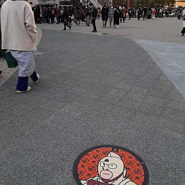 実際訪問したユーザーが直接撮影して投稿した大阪城広場大阪城ホール前 噴水広場の写真
